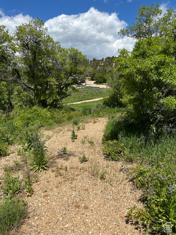 View of nature