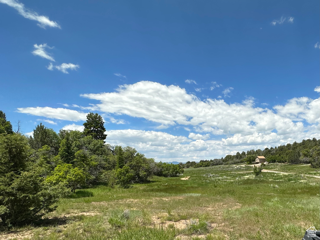 View of local wilderness featuring a rural view