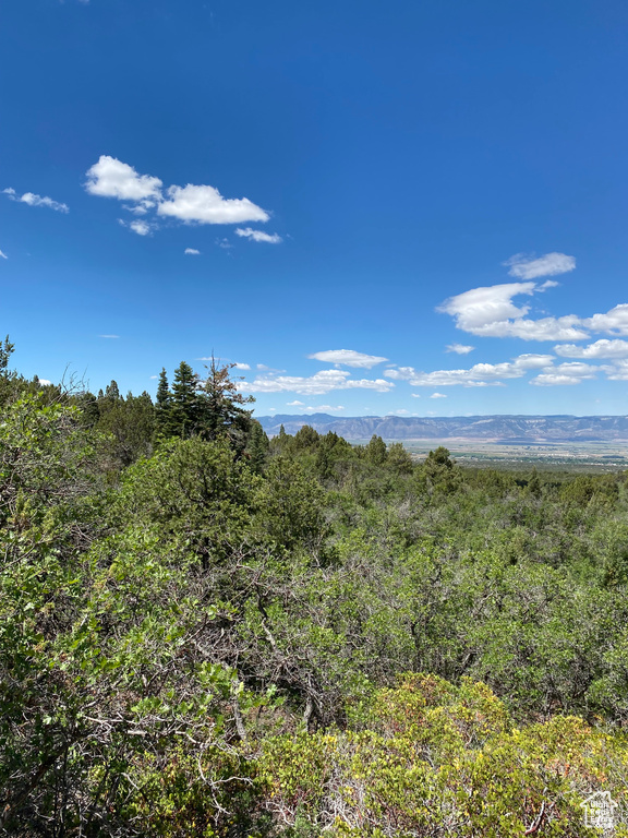 View of local wilderness featuring a mountain view