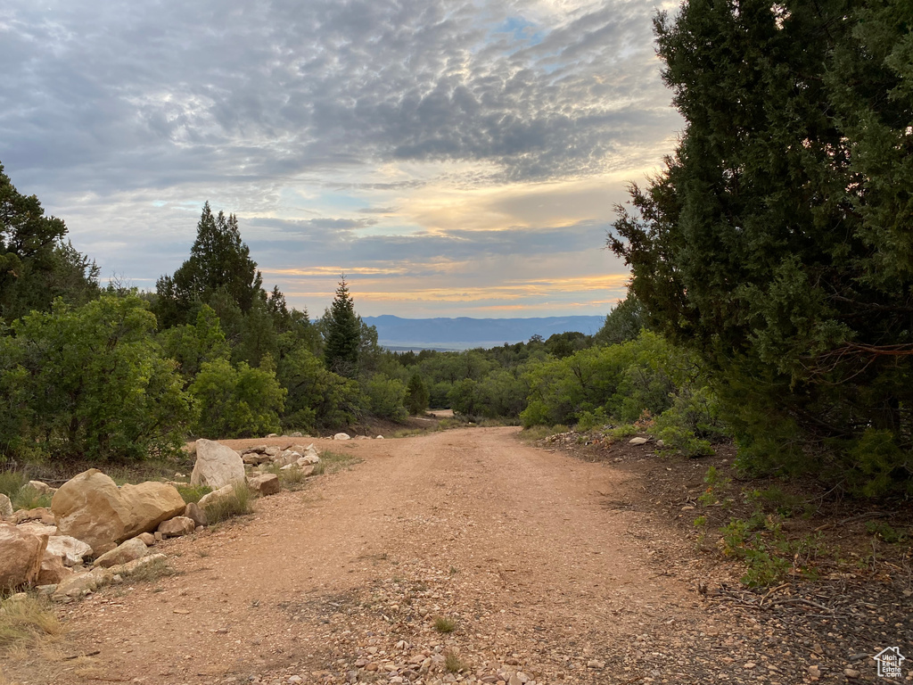 View of road