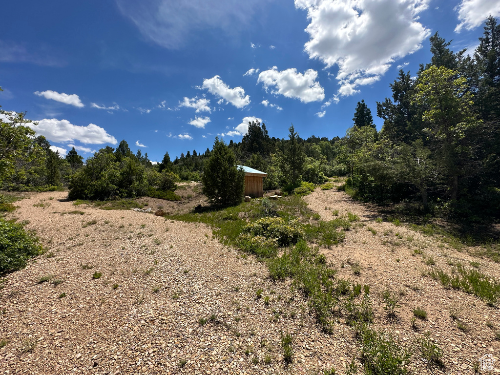 View of local wilderness