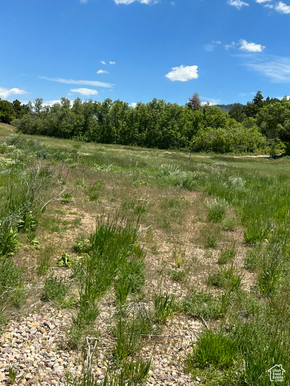 View of local wilderness featuring a rural view