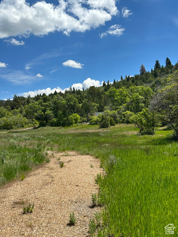 View of nature with a rural view