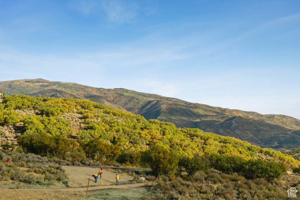 2889  14TH VIEW CIR Park City, UT 84098