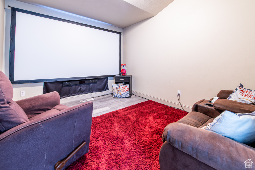 Cinema with wood-type flooring
