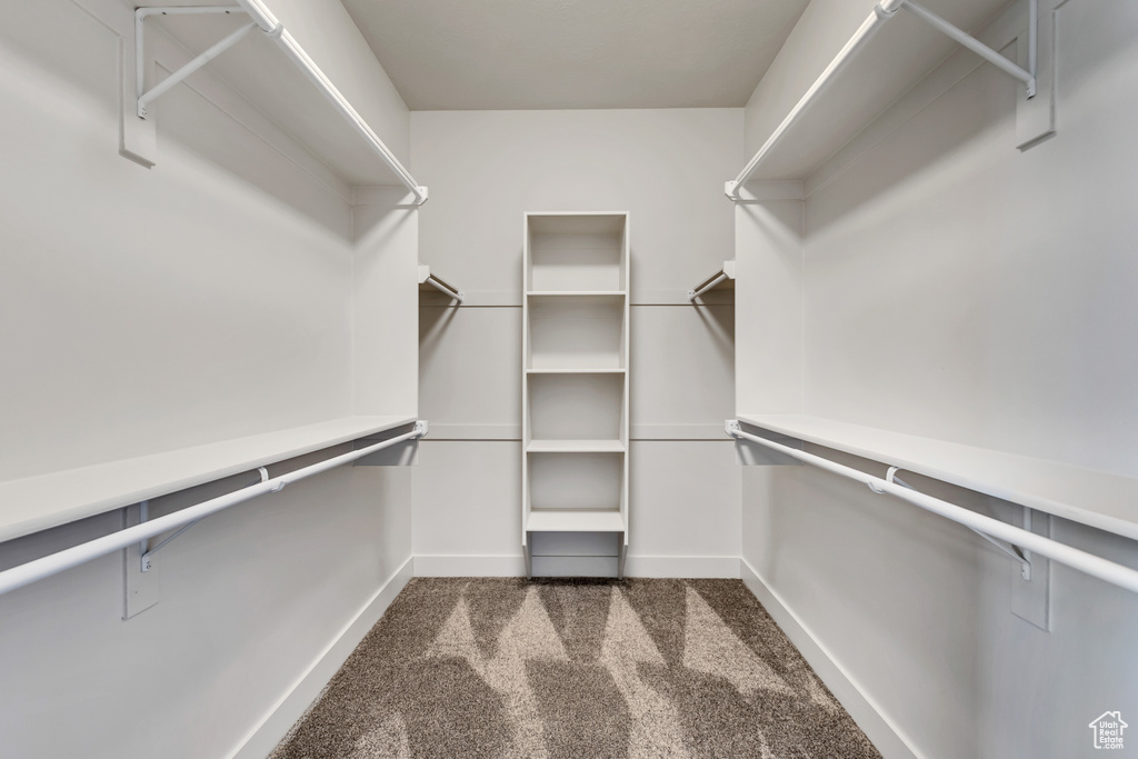 Walk in closet featuring dark colored carpet