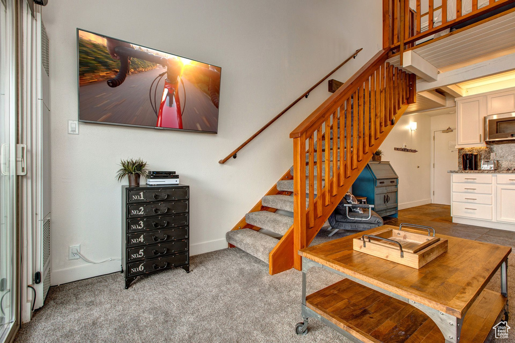 Stairs featuring carpet floors