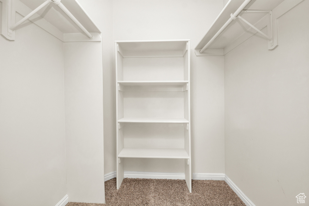 Walk in closet with carpet