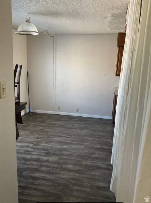 Interior space with dark hardwood / wood-style floors and a textured ceiling