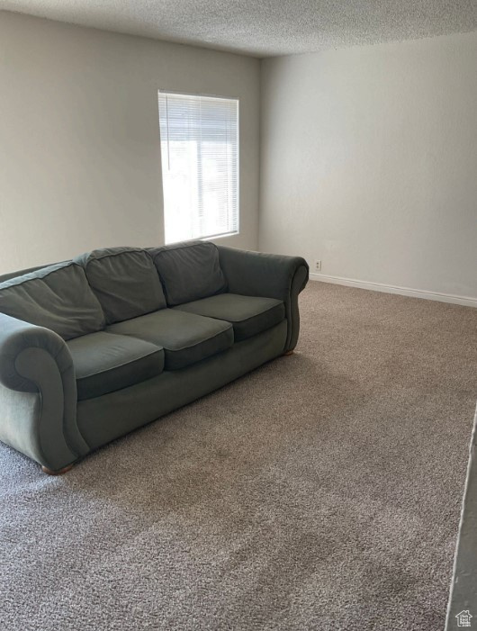 Carpeted living room with a textured ceiling