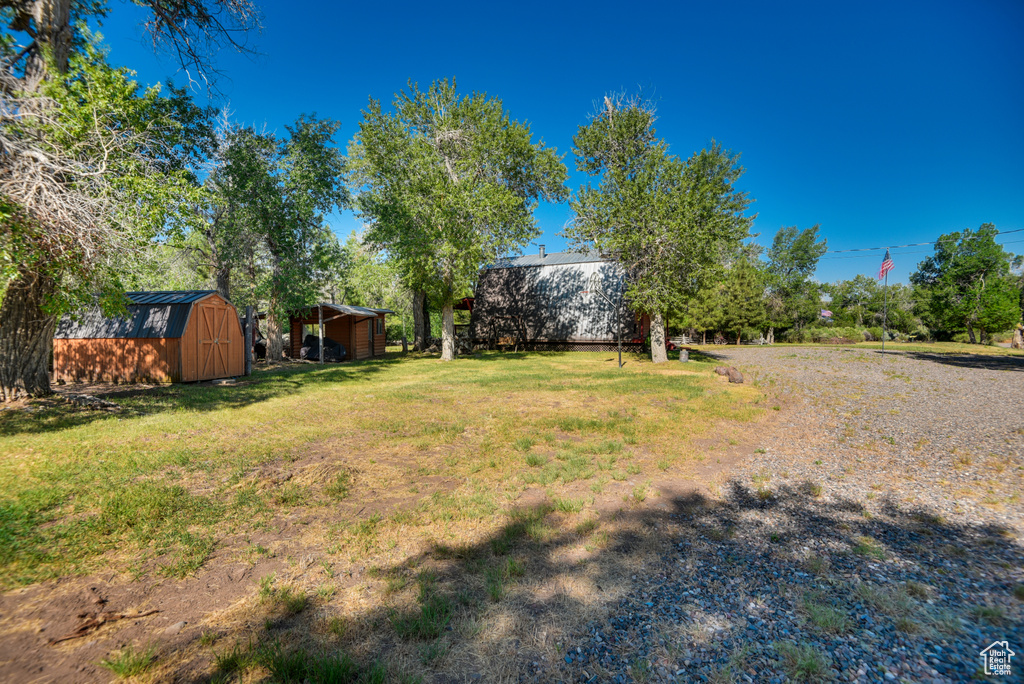View of yard with a shed