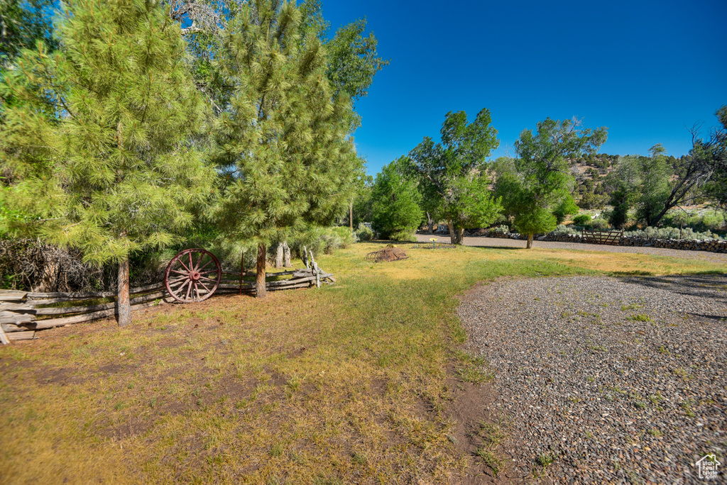 View of yard
