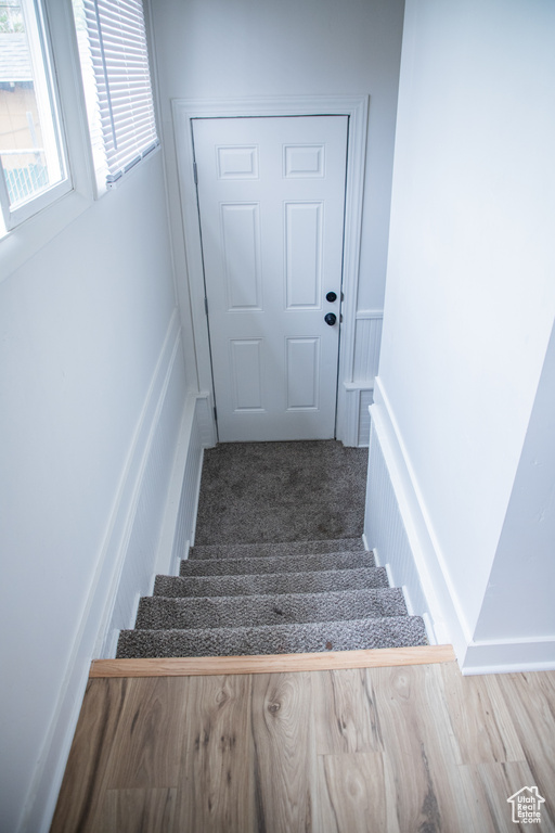 Stairway featuring carpet flooring