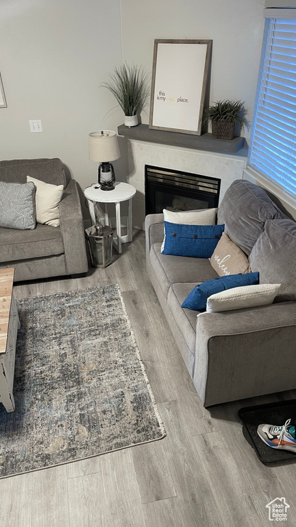 Living room with wood-type flooring