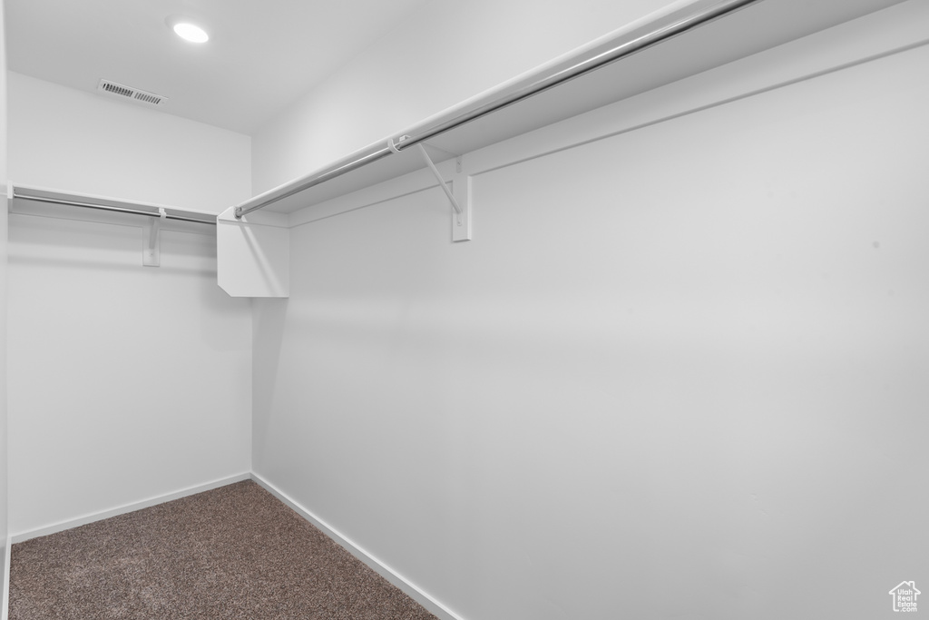 Walk in closet with carpet floors