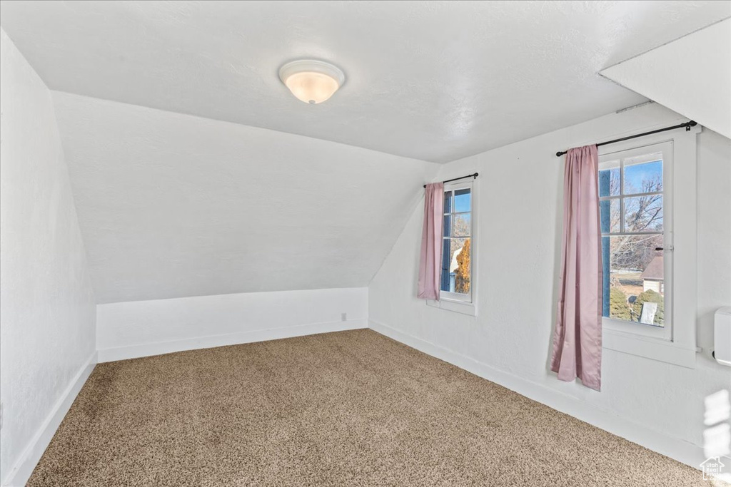 Additional living space with lofted ceiling, plenty of natural light, and carpet