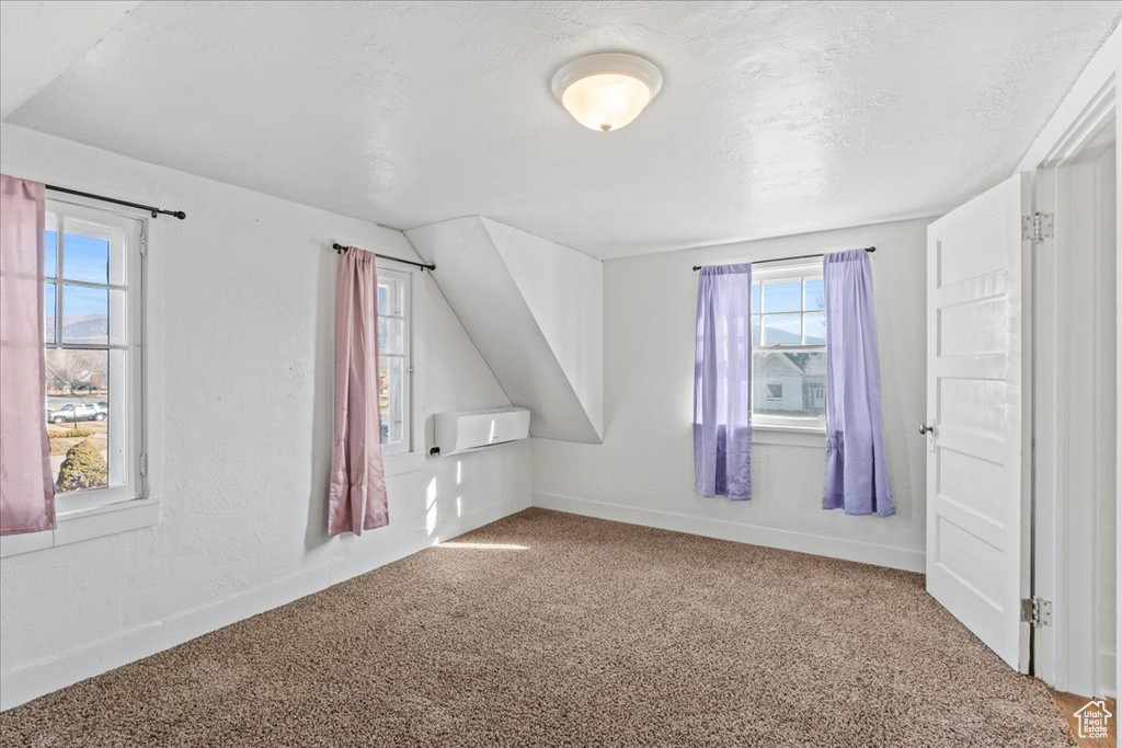 Bonus room featuring carpet floors and a textured ceiling