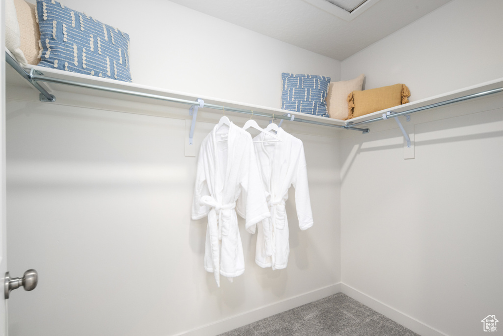 Walk in closet with carpet flooring