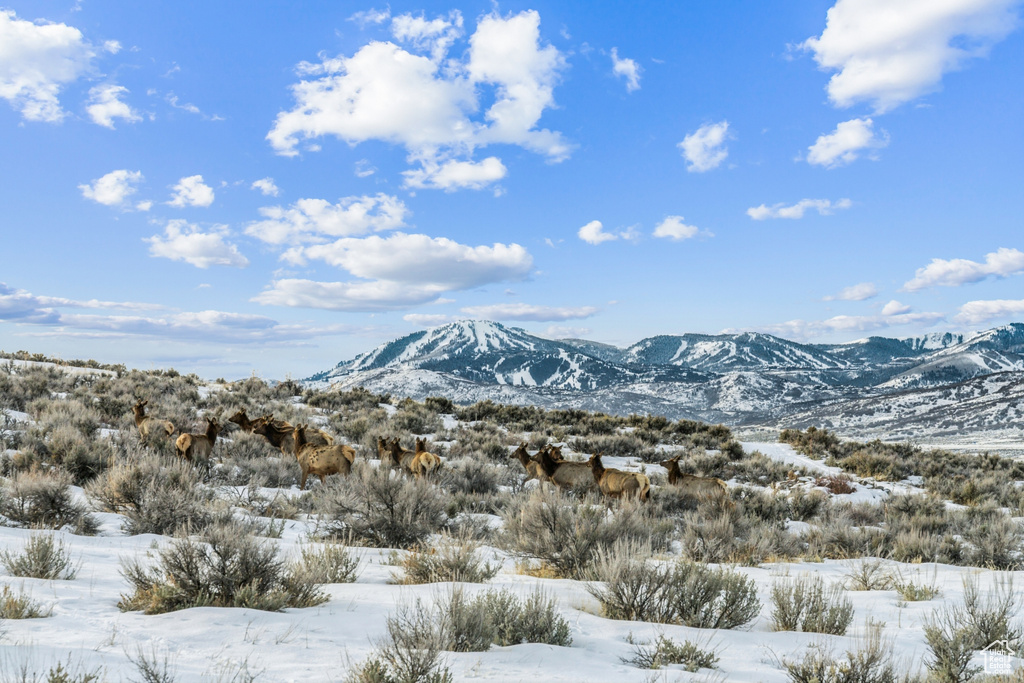 6749 WHITE DOVE WAY Park City, UT 84098