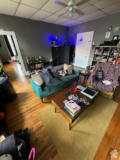 Living room featuring ceiling fan, wood-type flooring, and a drop ceiling