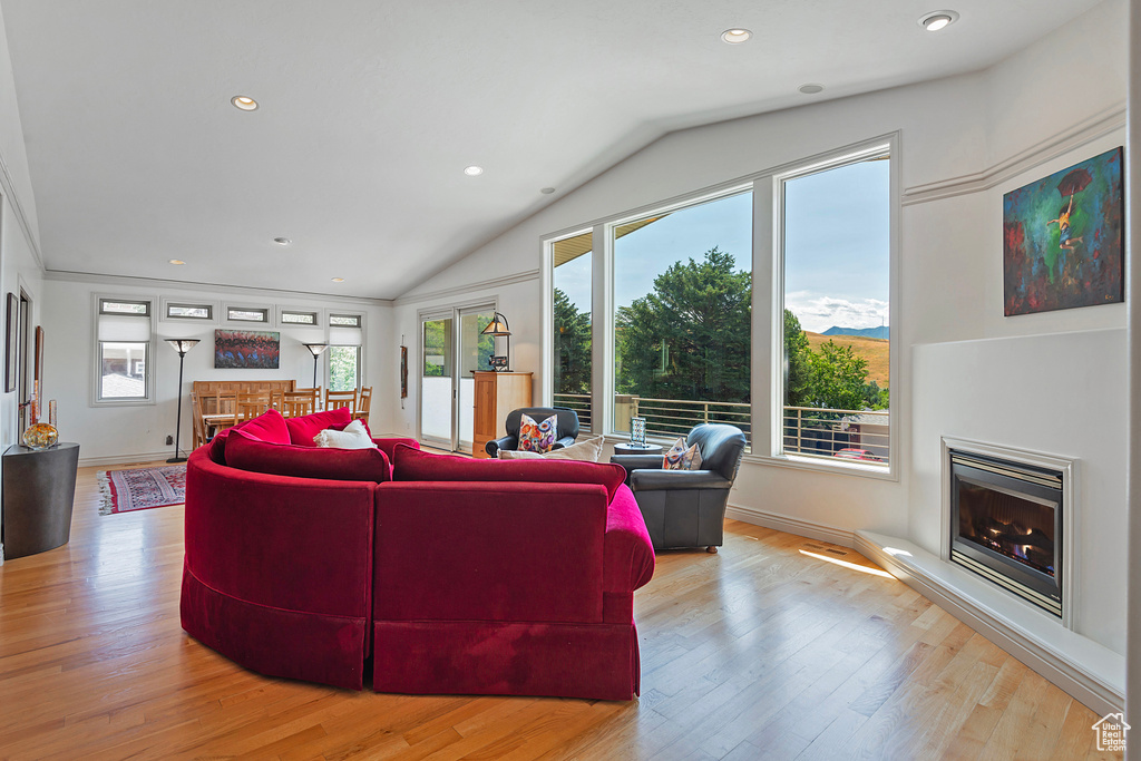 Living room with vaulted ceiling and light hardwood / wood-style flooring