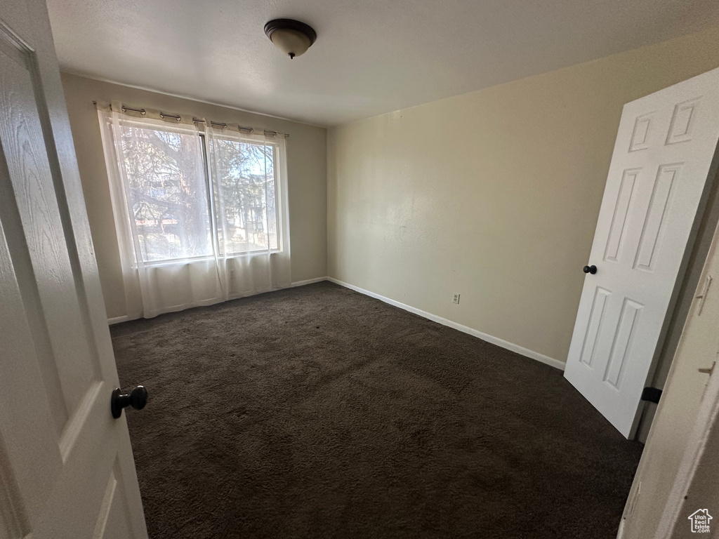 Empty room with dark colored carpet