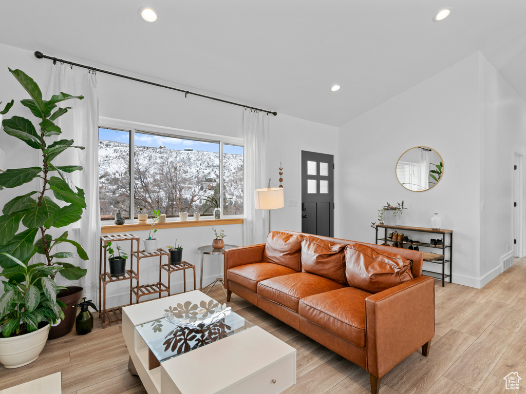 Living room featuring a mountain view and light wood-type flooring