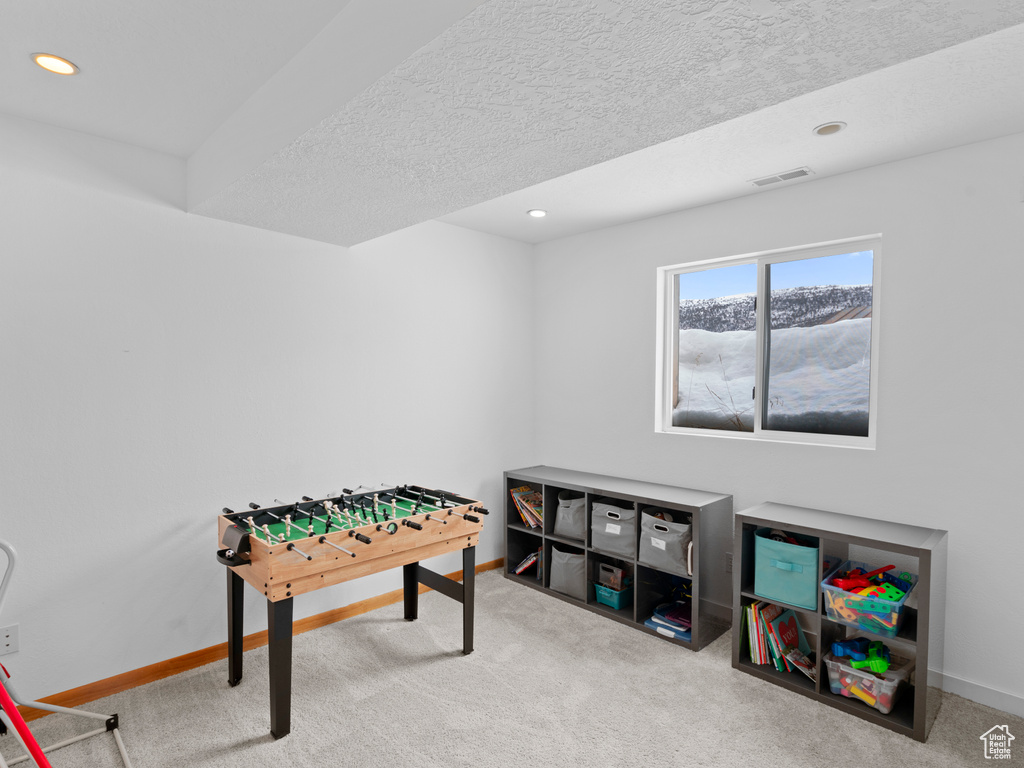 Recreation room featuring carpet floors and a textured ceiling