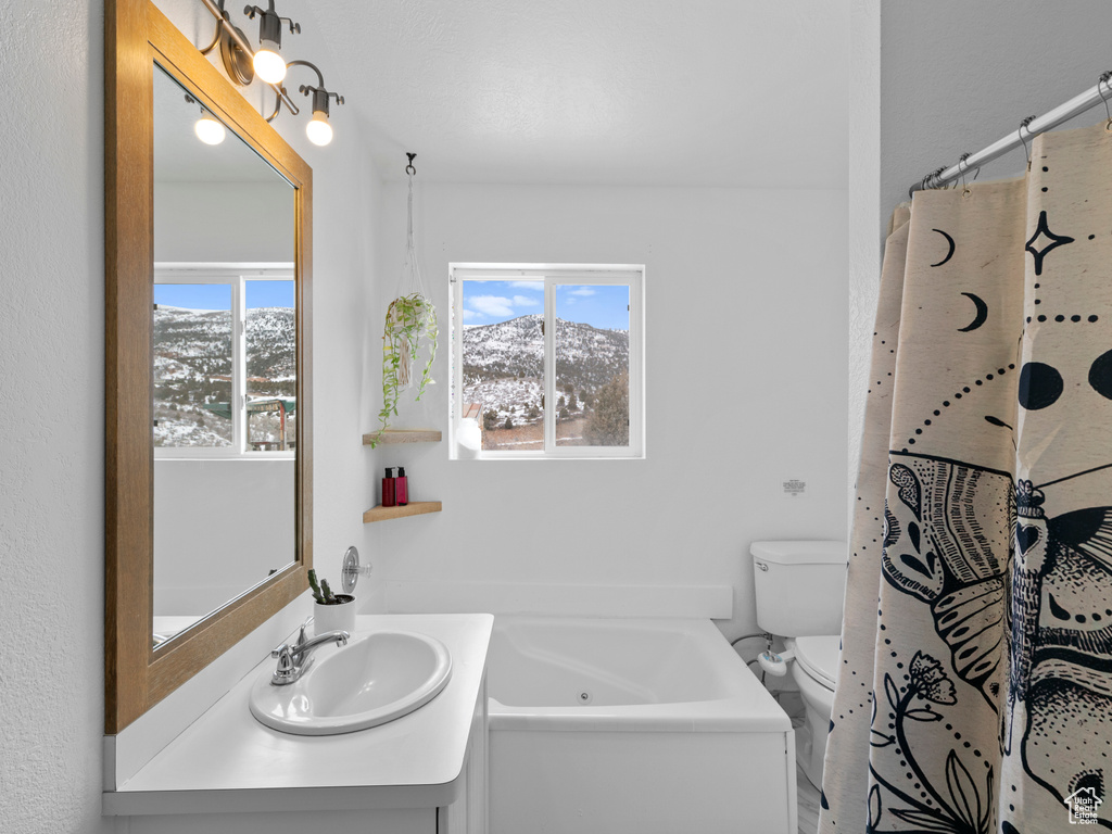 Bathroom featuring vanity, toilet, and a washtub