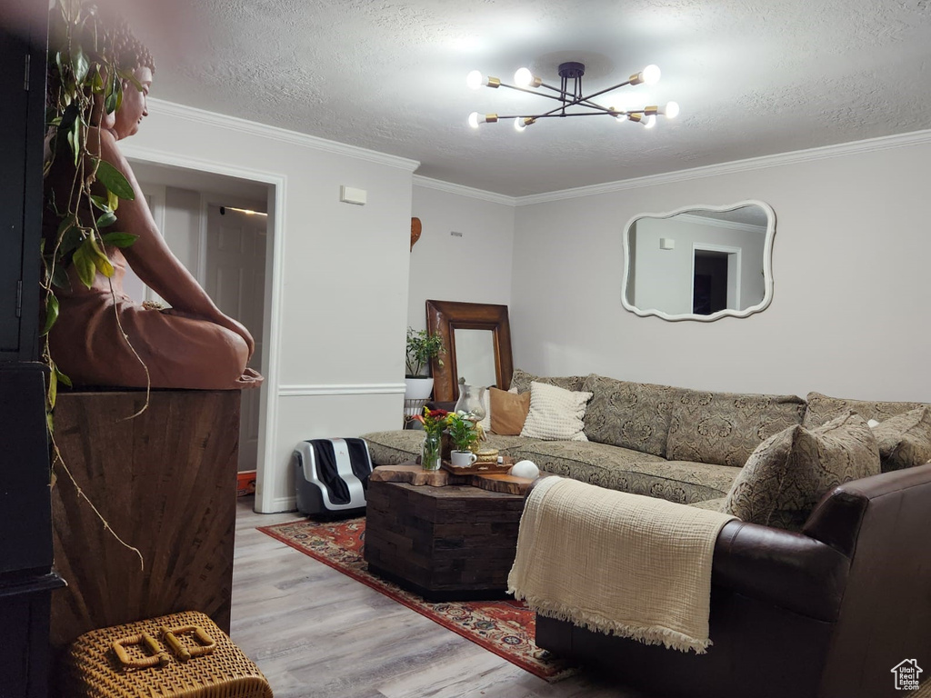 Living area with wood finished floors, a chandelier, crown molding, a textured ceiling, and baseboards