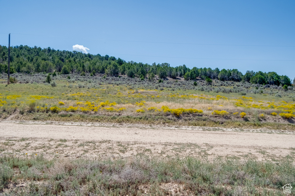 View of landscape