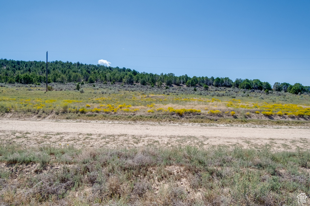 View of yard featuring a rural view