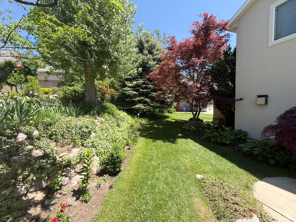 View of green lawn