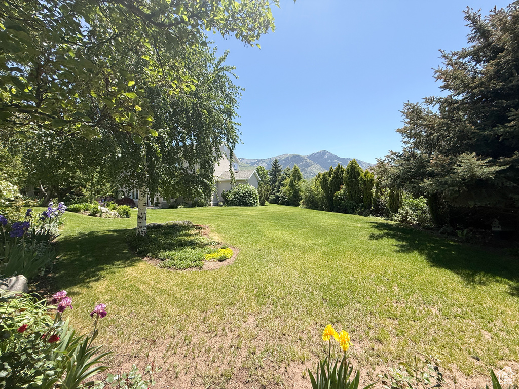 View of green lawn with a mountain view