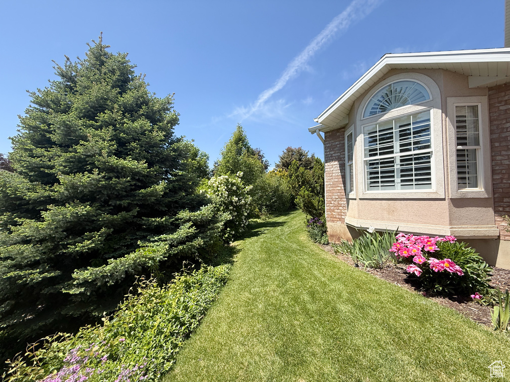 View of green lawn