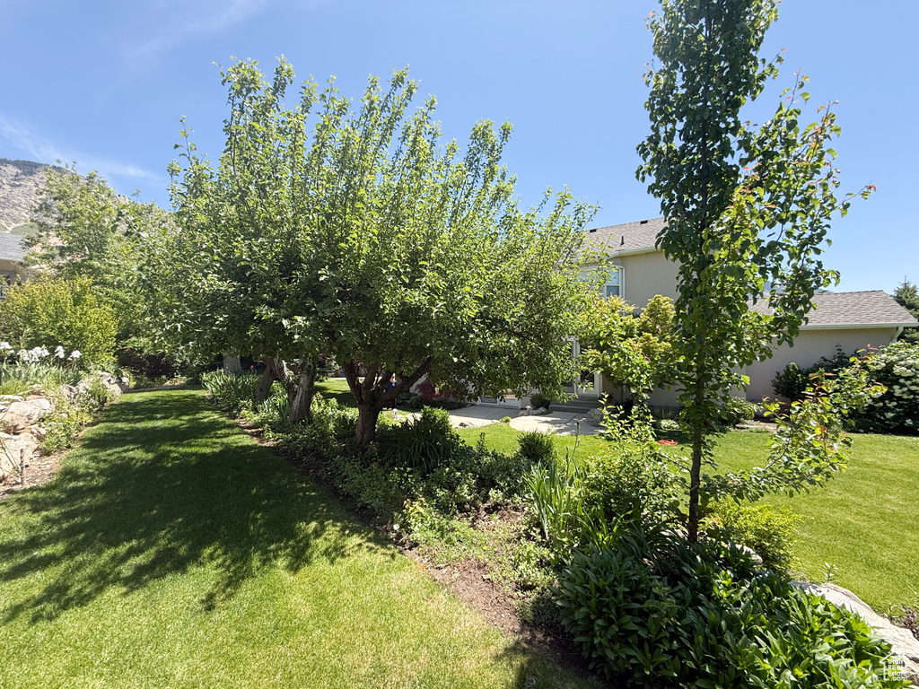 View of green lawn