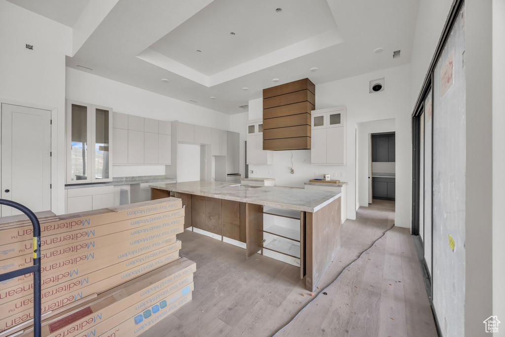 Kitchen with a tray ceiling, light wood-style floors, glass insert cabinets, white cabinetry, and modern cabinets
