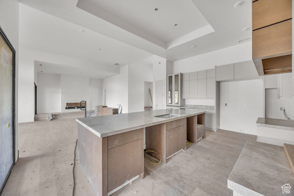 Kitchen with modern cabinets, a large island, a raised ceiling, gray cabinets, and open floor plan