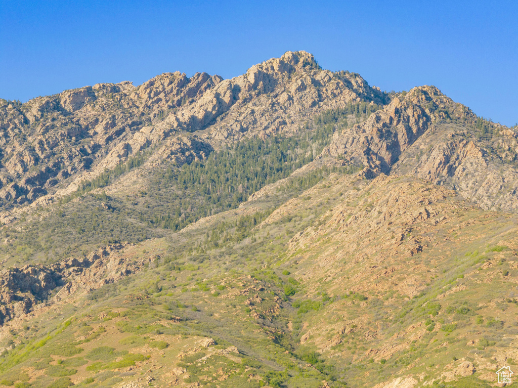 View of mountain background