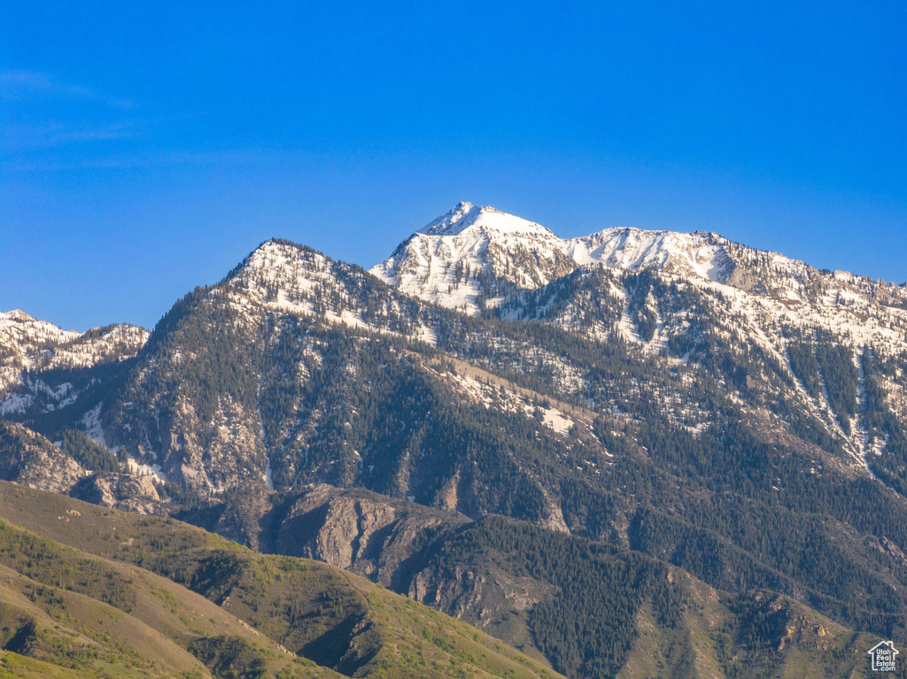 View of mountain background