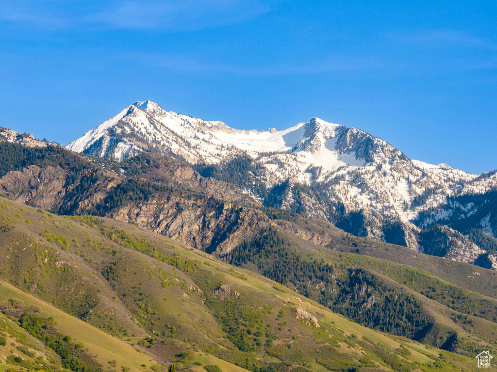 Mountain view