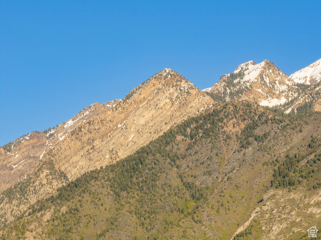 Mountain view
