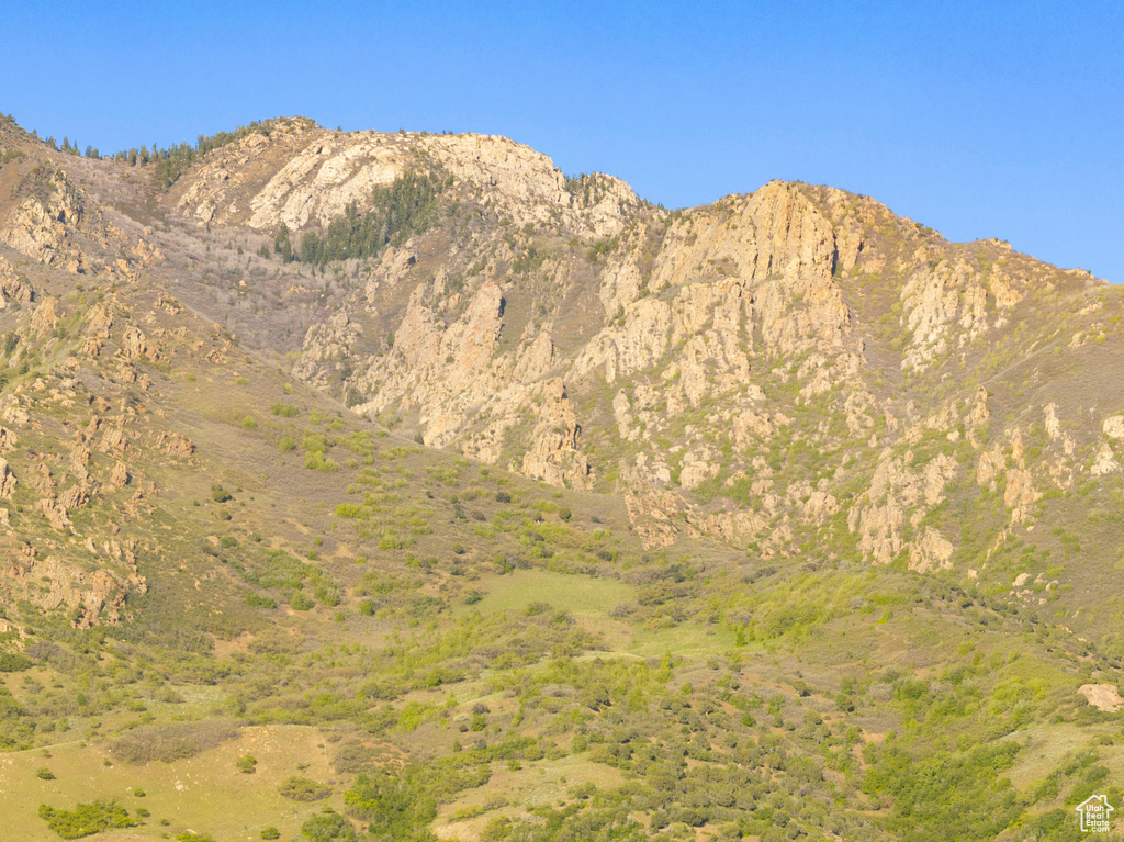 View of mountain background