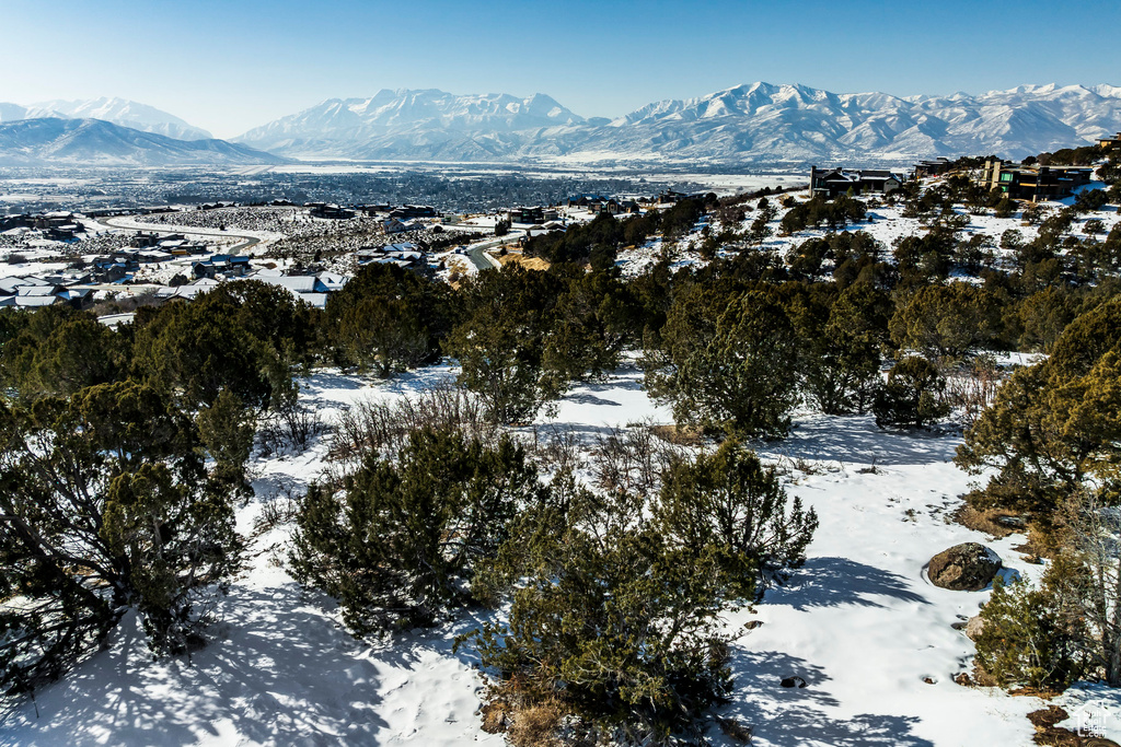 View of mountain background