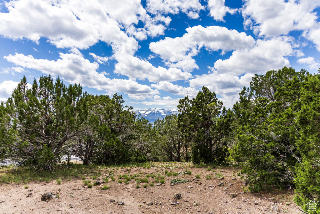 View of nature