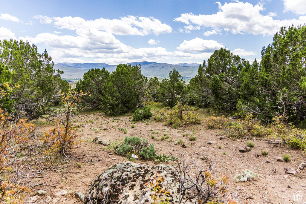 View of mountain backdrop