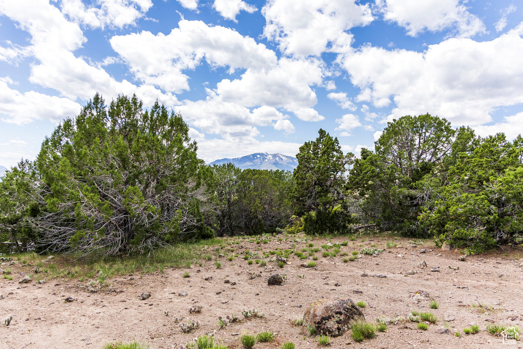 View of mountain background