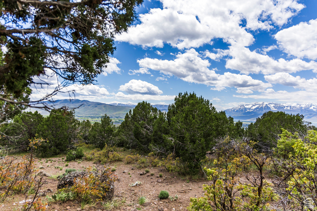 View of mountain background