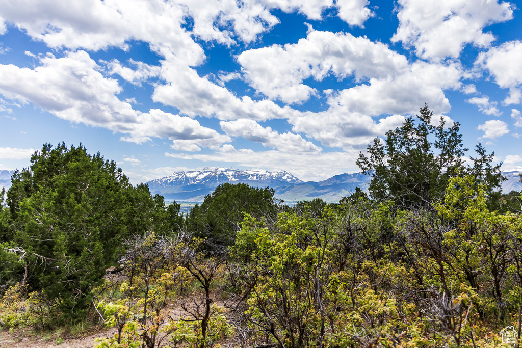 View of mountain backdrop