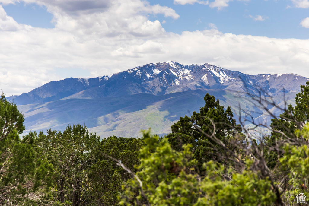 View of mountain background